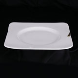 10寸滴金水中圆苏菲碟